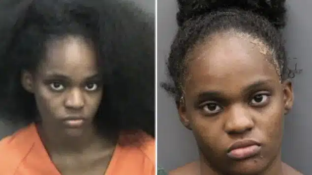 Shaniece Willingham Arrested After Attempting to Drown Her Three Children in Valrico, Florida: A Tragic Livestream Incident Following Argument with Children’s Father