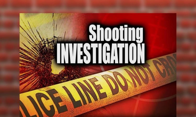 2 Killed in Shooting on I-696 Near Woodward Avenue, Oakland County, MI